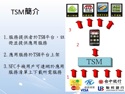 圖1 TSM示意圖