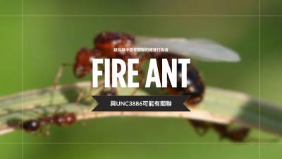 中國駭客組織「Fire Ant」鎖定VMware虛擬化環境進行長期間諜活動