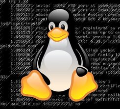 新攻擊手法利用 Linux 存在的弱點發動 DNS 快取污染攻擊
