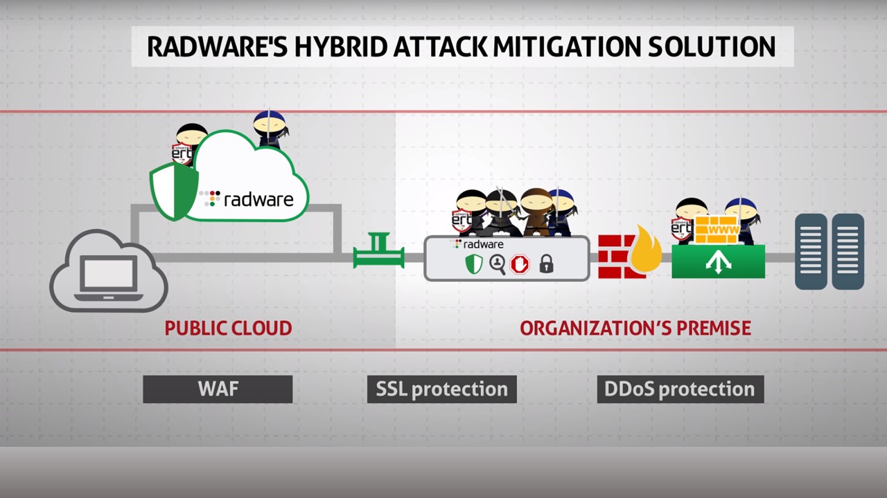 Radware榮獲獨立研究公司肯定為DDoS緩解解決方案領導者