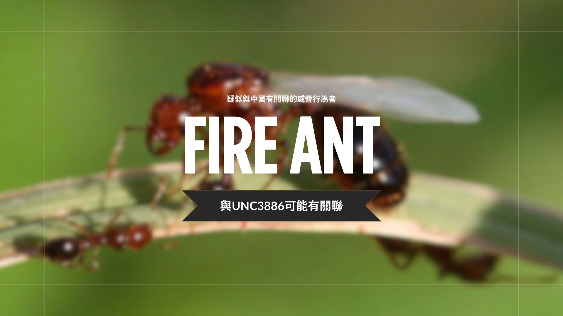 中國駭客組織「Fire Ant」鎖定VMware虛擬化環境進行長期間諜活動