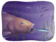 【HIT現場直擊】利用Flash漏洞  一魚多吃！  