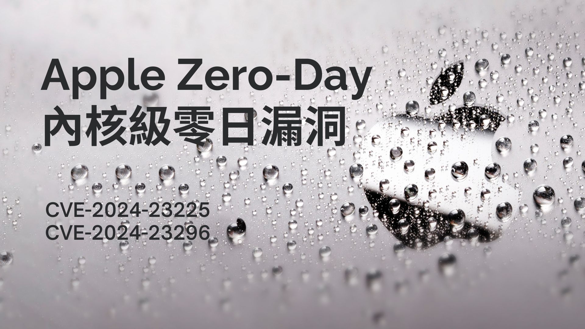 蘋果修補兩個零日漏洞 防止核心保護機制被繞過